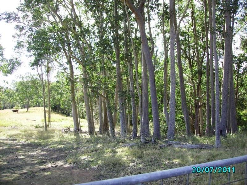 579 Gloucester Tops Rd, Berrico NSW 2422