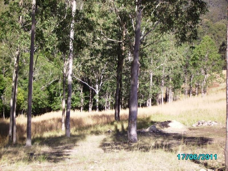 579 Gloucester Tops Rd, Berrico NSW 2422