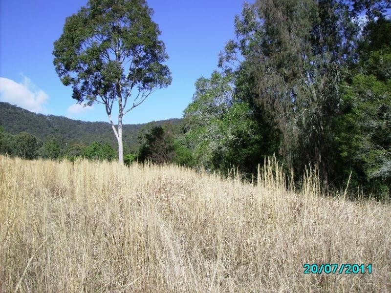 579 Gloucester Tops Rd, Berrico NSW 2422