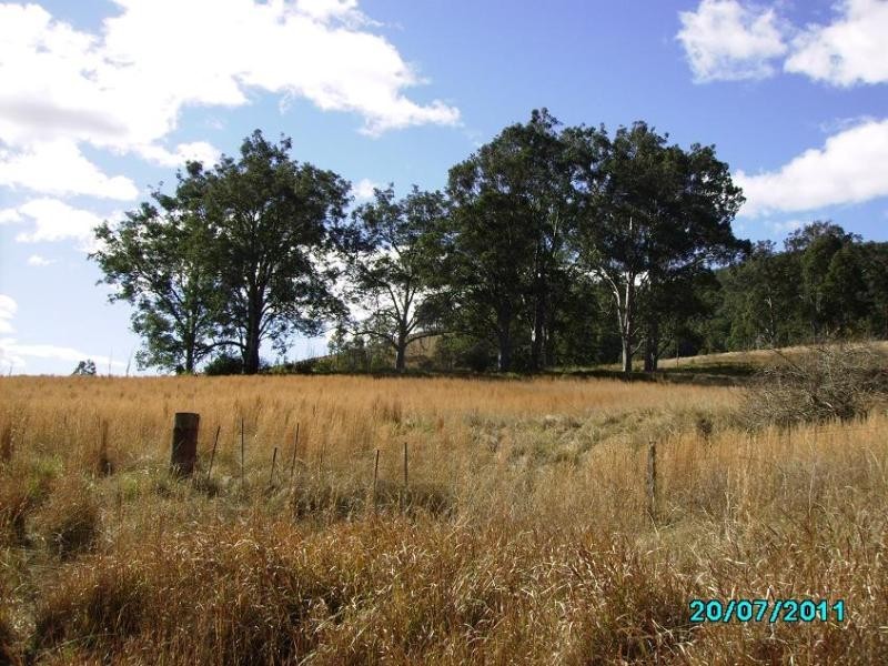 579 Gloucester Tops Rd, Berrico NSW 2422