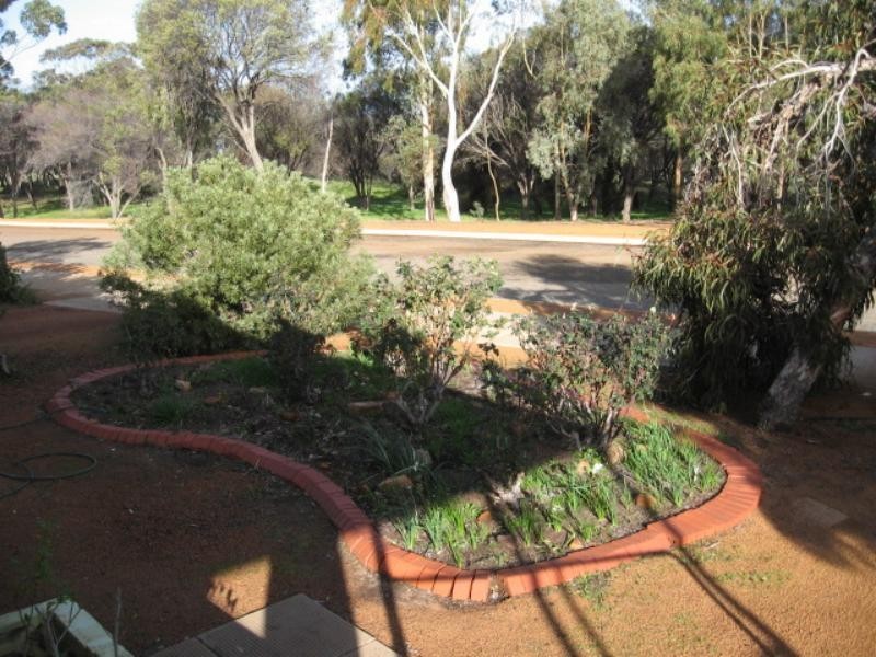 29 Seimons Ave, Corrigin WA 6375