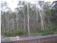 53 Lindeman  St, Springfield Lakes QLD 4300