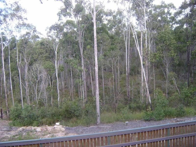 53 Lindeman  St, Springfield Lakes QLD 4300