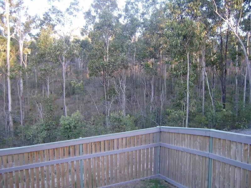 53 Lindeman  St, Springfield Lakes QLD 4300
