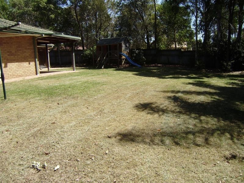 7 Foxglove  Ct, Springfield QLD 4300
