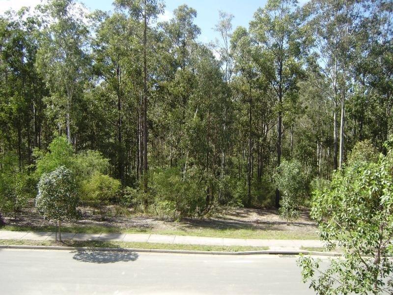 35 Wanderer Cres, Springfield Lakes QLD 4300