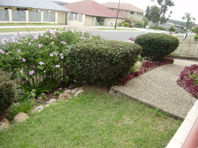 19 Liberty Cres, Springfield Lakes QLD 4300