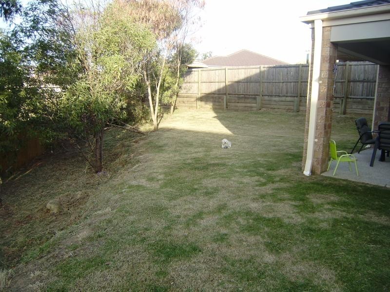 15 Greenview Ct, Springfield QLD 4300