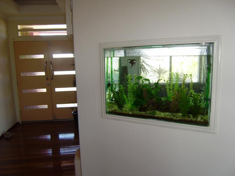 Springfield Lakes QLD 4300