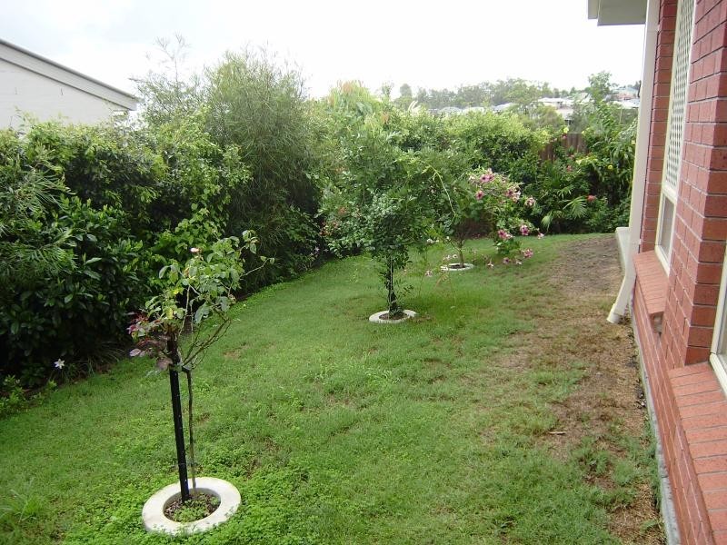 9 Turqouise Cres, Springfield Lakes QLD 4300