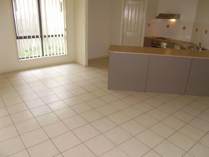 16 Darter Pl, Springfield Lakes QLD 4300
