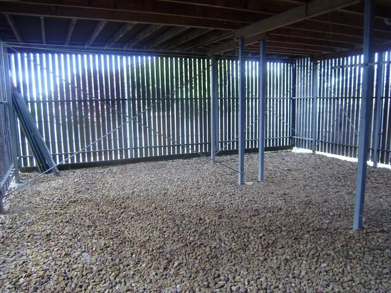 6 Timberlake  Ct, Springfield Lakes QLD 4300