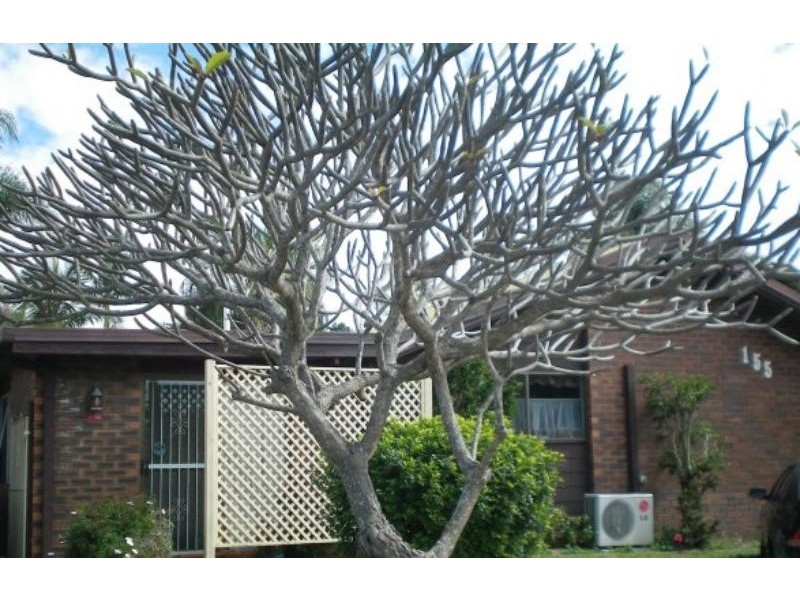 Mount Warren Park QLD 4207