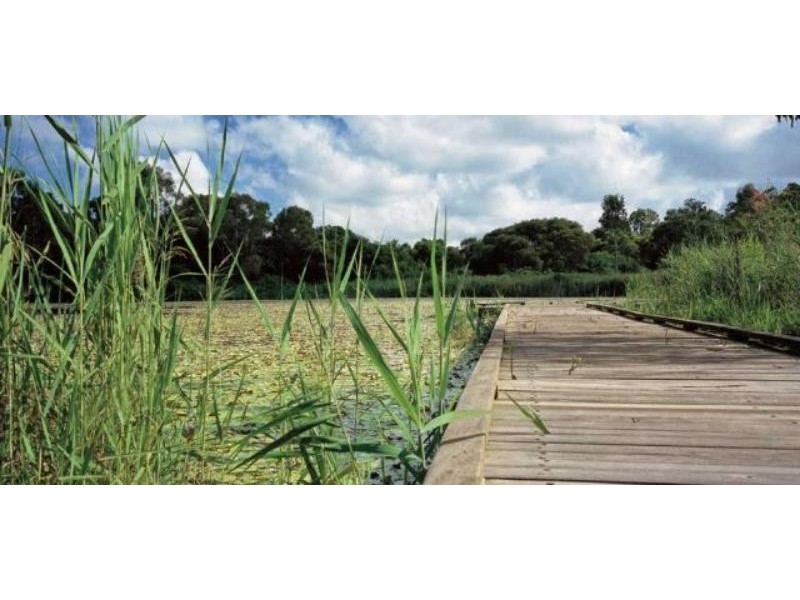 6/50 Riverhills Rd, Eagleby QLD 4207