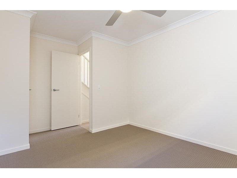 19 Ritz Dr, Coomera QLD 4209