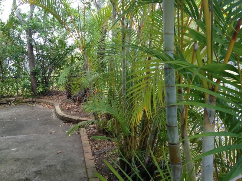 76 Barkoola St, Upper Mount Gravatt QLD 4122
