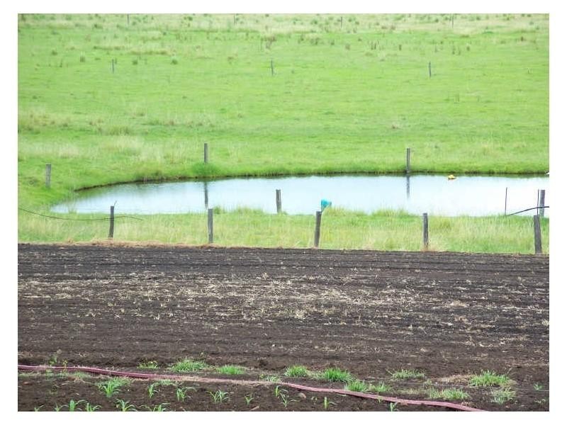 80 Strongs Rd, Fairy Hill NSW 2470