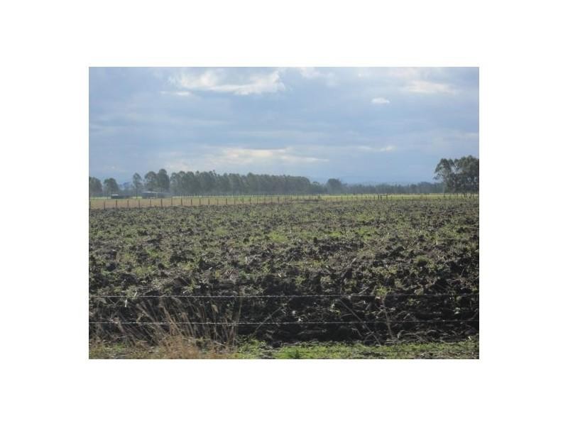 80 Strongs Rd, Fairy Hill NSW 2470