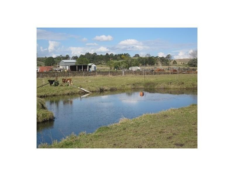 80 Strongs Rd, Fairy Hill NSW 2470
