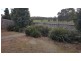262 The Lakes  Bvd, South Morang VIC 3752
