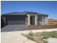 27 Springleaf Rd, Tarneit VIC 3029