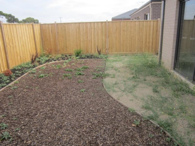 43 Springleaf Rd, Tarneit VIC 3029