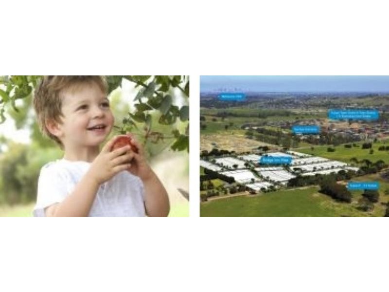 44 Dunraven  Cres, Doreen VIC 3754