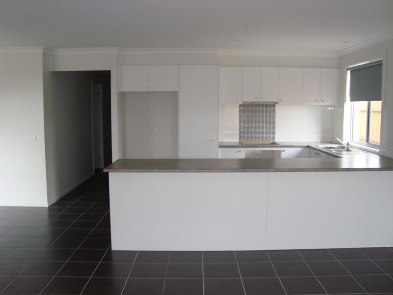 175 Riversdale Dr, Tarneit VIC 3029