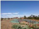 110 James Melrose Dr, Brookfield VIC 3338