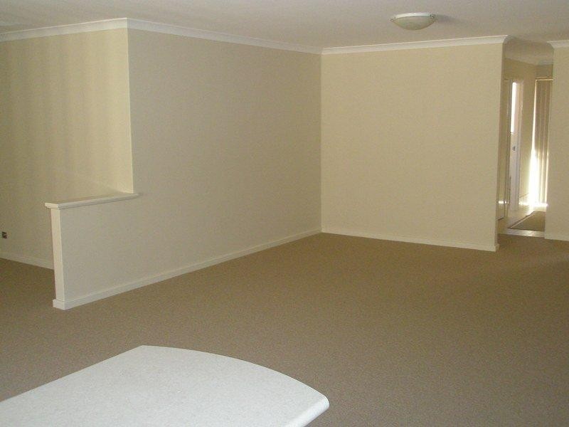 26 Bonannella  Ent, Sinagra WA 6065