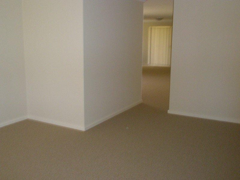 26 Bonannella  Ent, Sinagra WA 6065