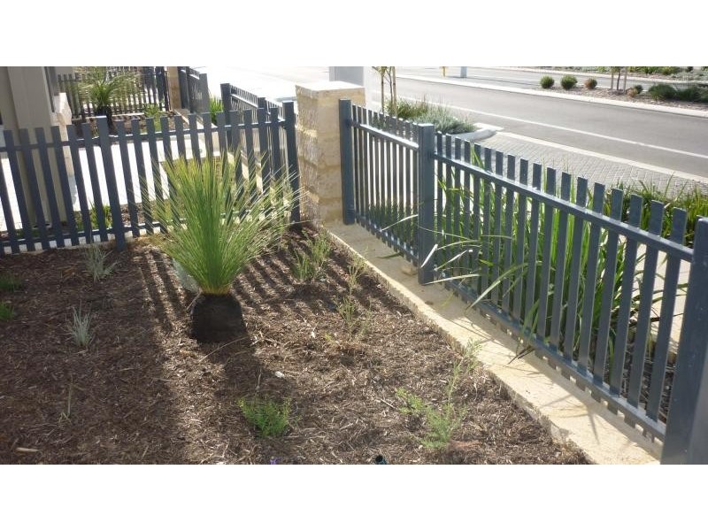 317 Benendon  Ave, Alkimos WA 6038