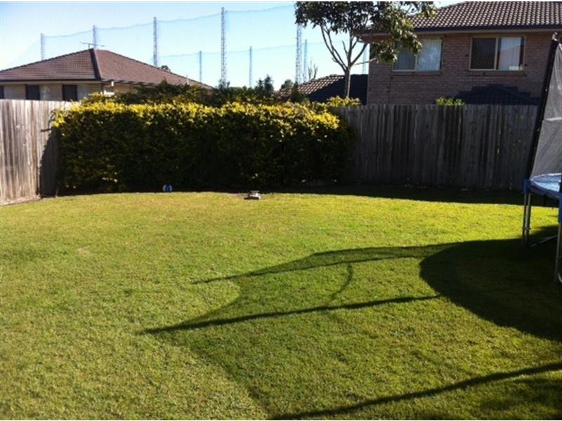 7 Blue Range Drive Dr, Algester QLD 4115