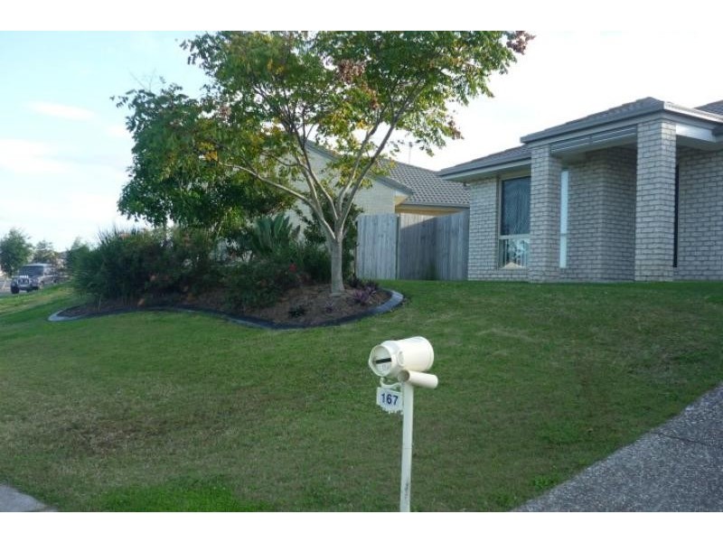 167 Macquarie  Way, Drewvale QLD 4116