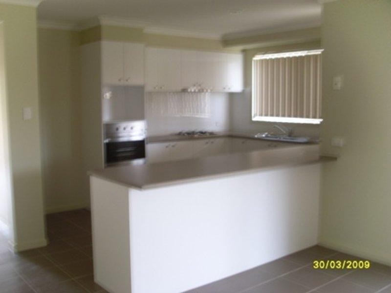 20 Shaun St, Redbank Plains QLD 4301