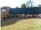 35 Tindle St, Redbank Plains QLD 4301