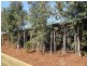 24 Freeman  St, North Lakes QLD 4509
