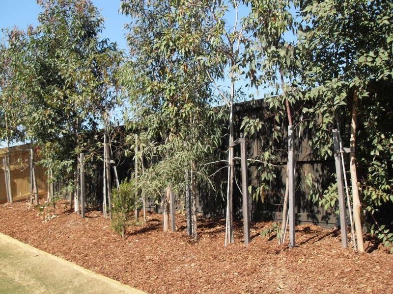 24 Freeman  St, North Lakes QLD 4509