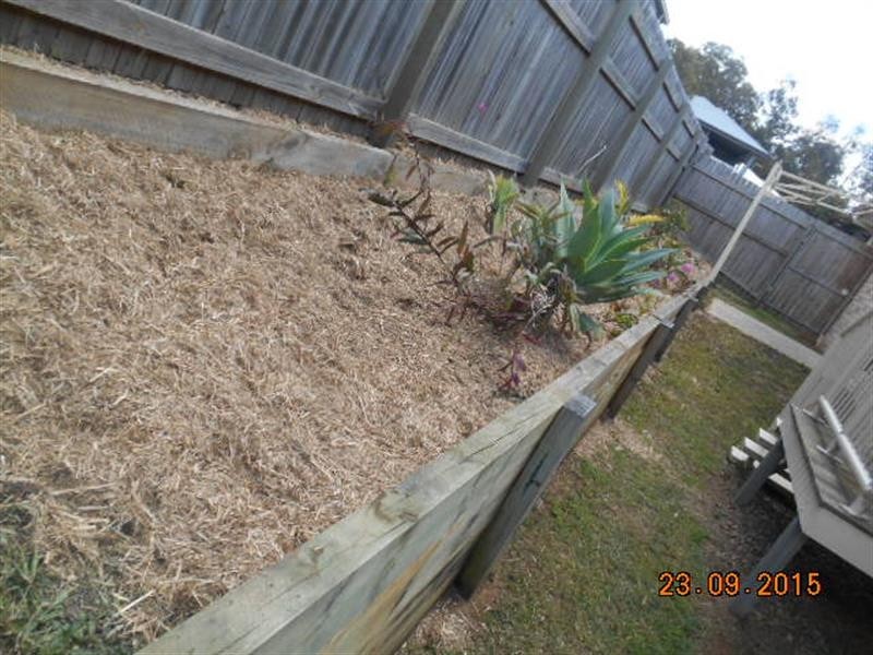 11 Salomon  Ct, Goodna QLD 4300