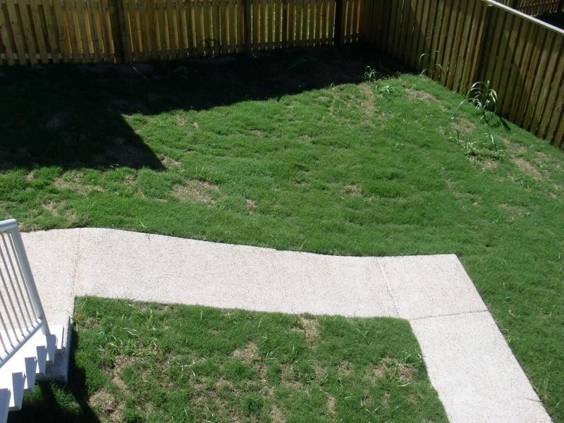 25 Harold Reinhardt Dr, Redbank Plains QLD 4301