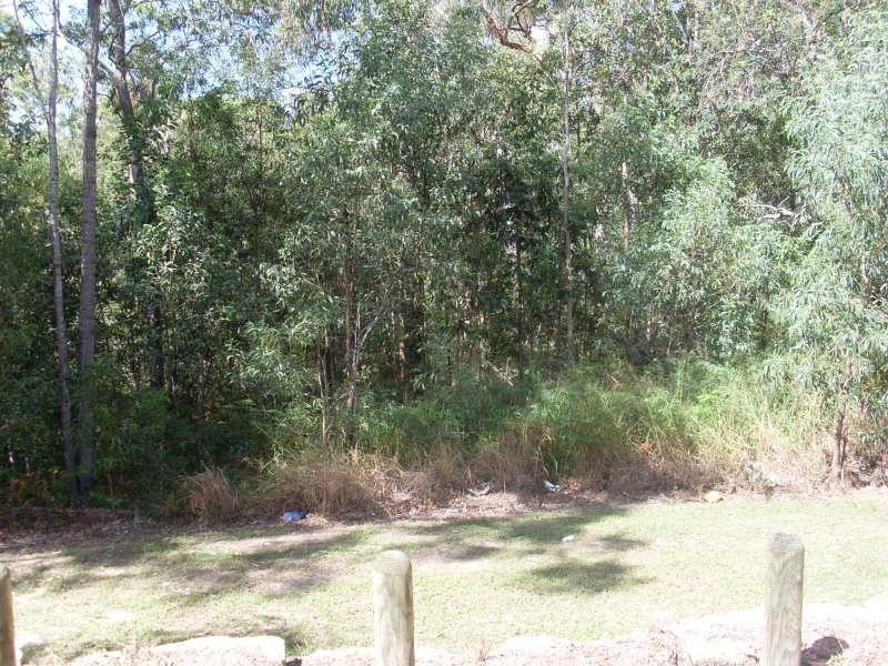 10 Andrew Walker Dr, Goodna QLD 4300