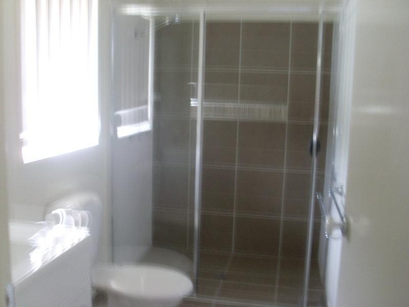 161 Alawoona  St, Redbank Plains QLD 4301