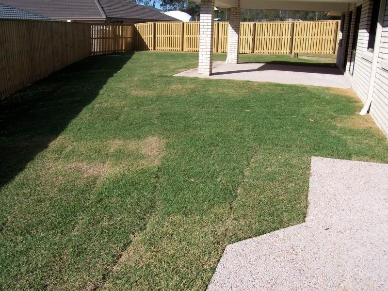 8 Juniper St, Heathwood QLD 4110