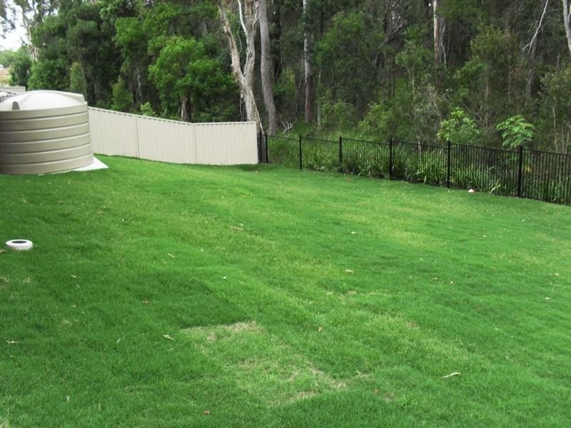 4 Bryna Pde, Oxenford QLD 4210