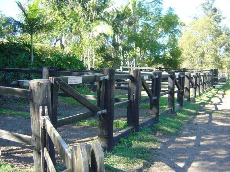 438 Maudsland Rd, Maudsland QLD 4210