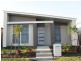 41 Collingrove Cct, Pimpama QLD 4209