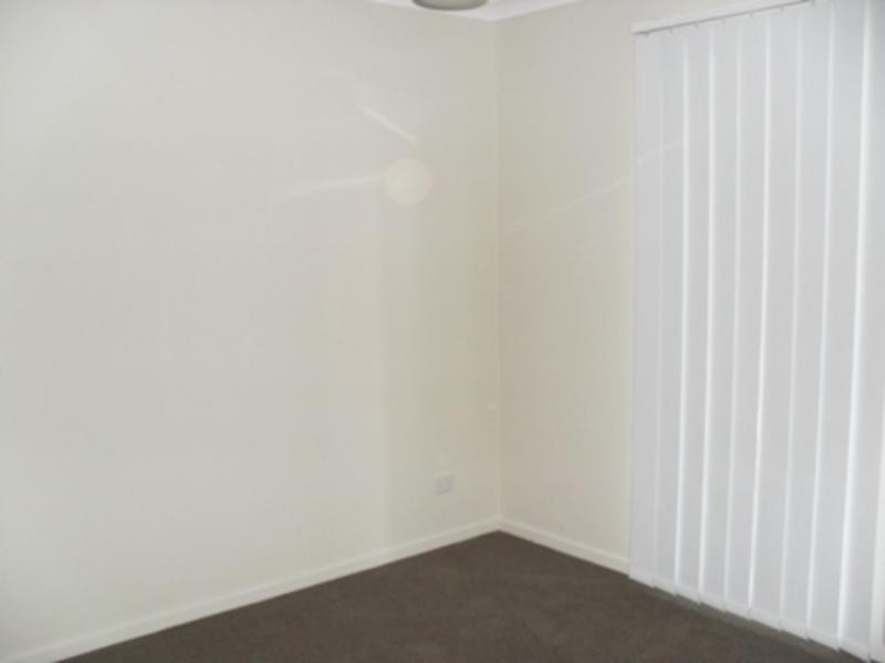 41 Collingrove Cct, Pimpama QLD 4209