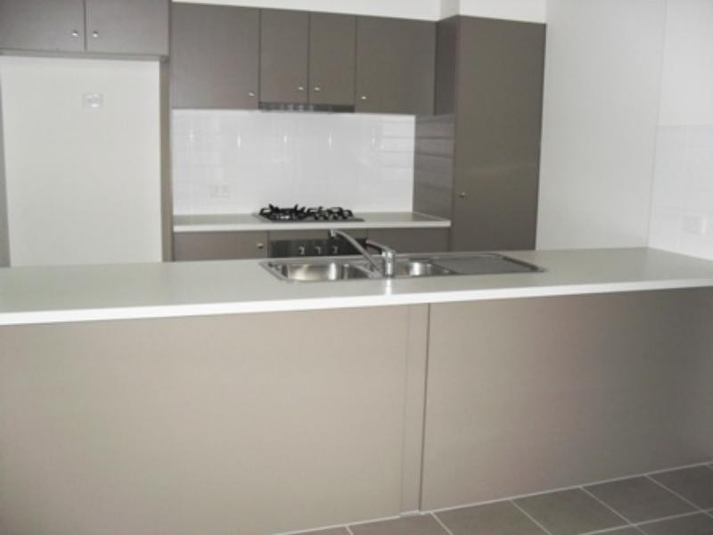 41 Collingrove Cct, Pimpama QLD 4209