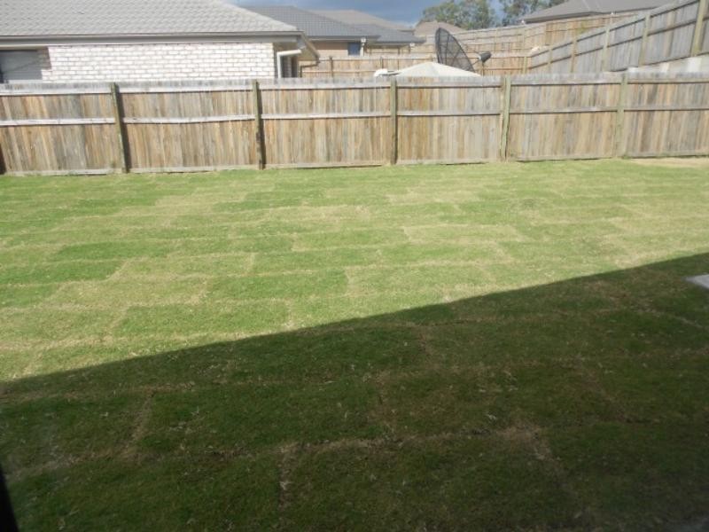 12 Stanbury Dr, Goodna QLD 4300