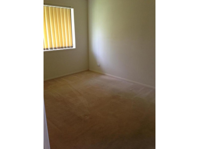 17 Pinewood  St, Wynnum West QLD 4178